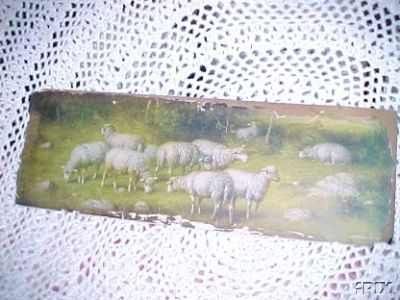 Sheep in a Meadow B