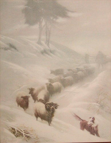Sheep in a Snow Storm