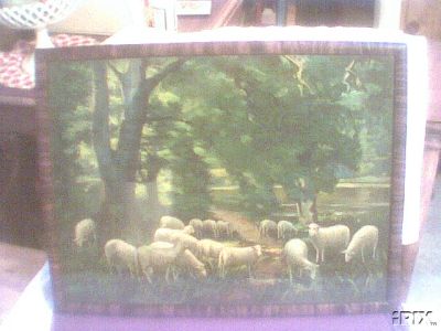 Sheep in a Wooded Glade