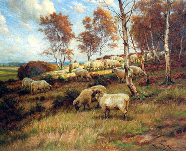 Sheep in Autum