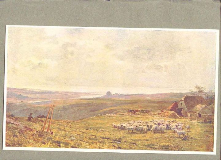 Sheep in English Landscape