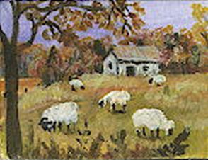 Sheep in Field