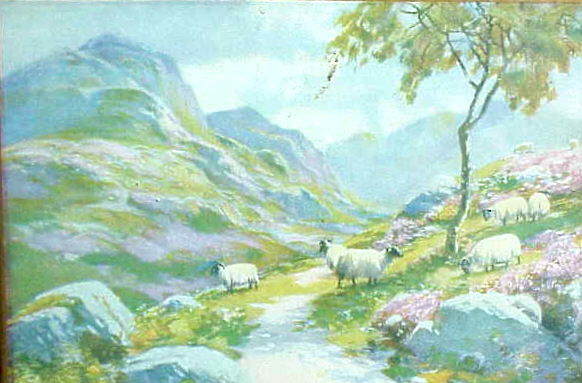 Sheep in Flowering Meadows