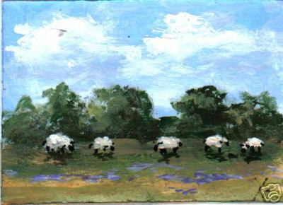 Sheep in Lupines