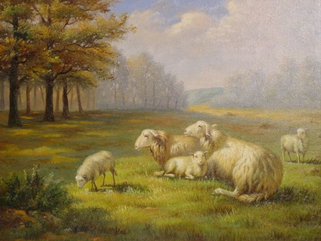 Sheep in Meadow