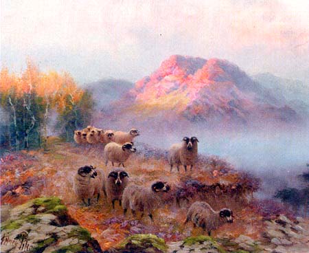 Sheep in Morning Fog