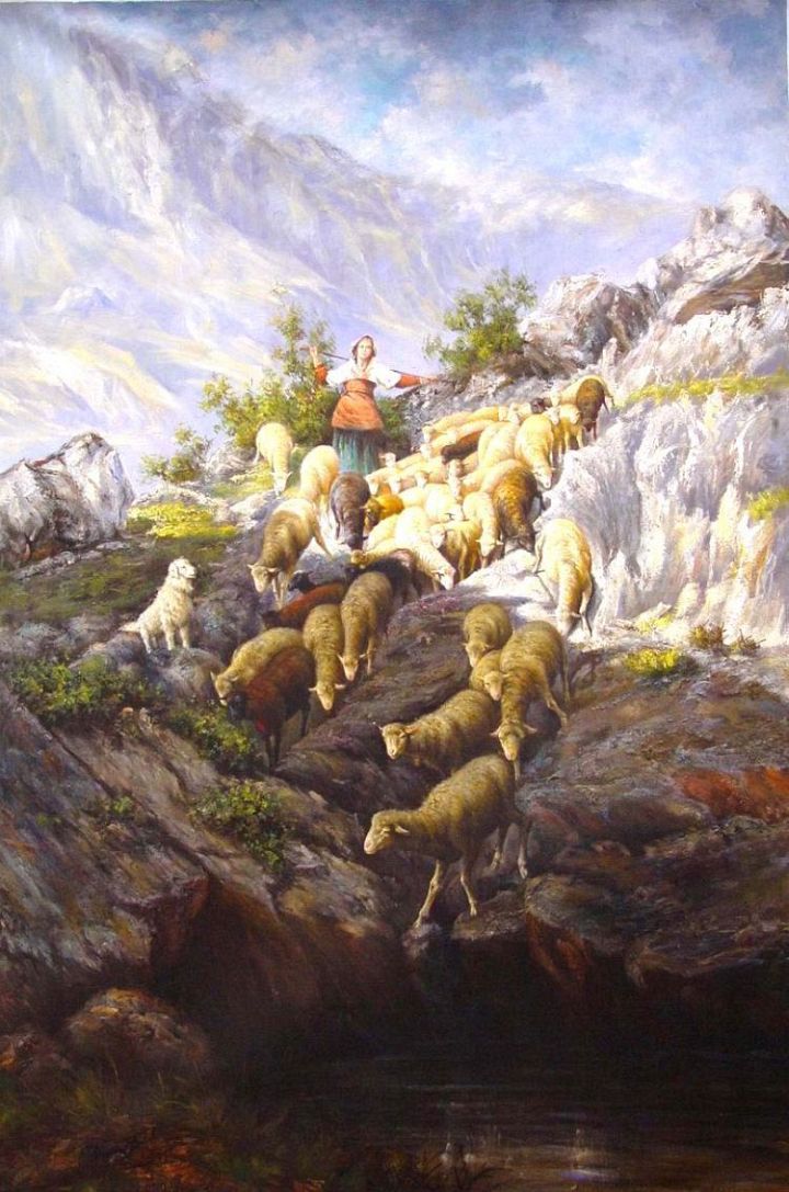 Sheep in Mountains with Keepers