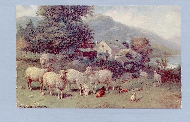 Sheep in Pleasant Pastures