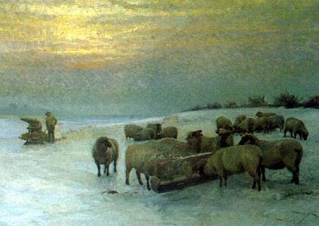 Sheep in Snow 1