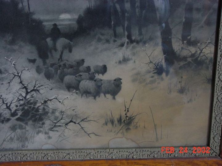 Sheep in Snow 2