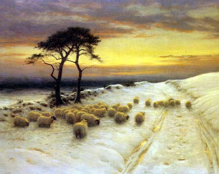 Sheep in Snow 3