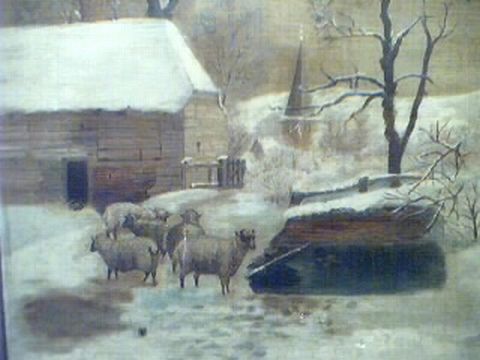 Sheep in Snow 7