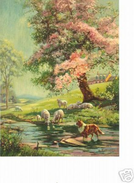 Sheep in Spring with Collie