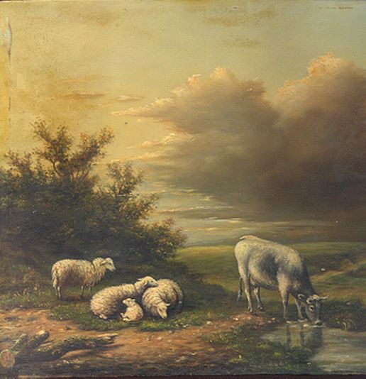 Sheep in Spring with Cows