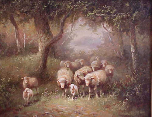 Sheep in Spring Woods