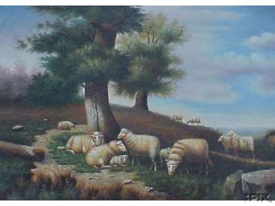 Sheep in the Countryside