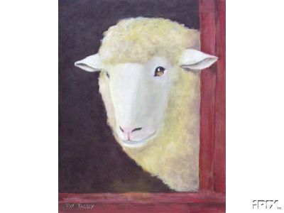 Sheep in the Doorway