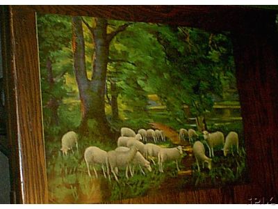 Sheep in the Forest