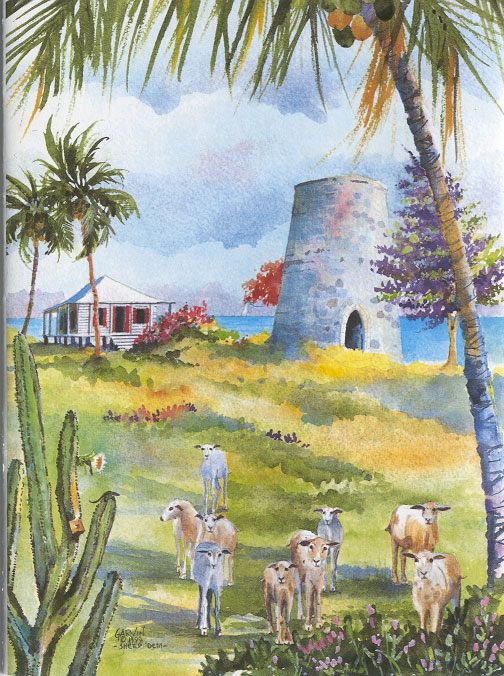 Sheep in the Islands Watercolor