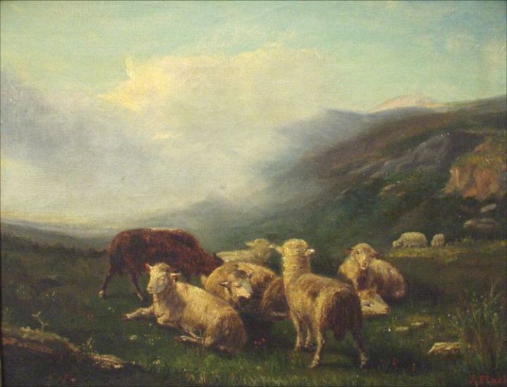 Sheep in the Morning Mist
