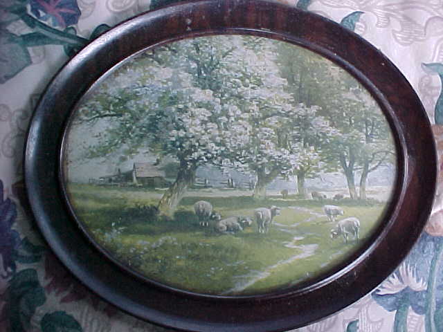 Sheep in the Orchard B