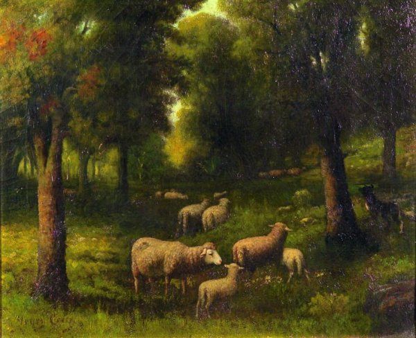 Sheep in the Woods