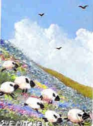 Sheep in Wildflowers