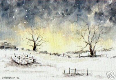 Sheep in Winter Northumberland