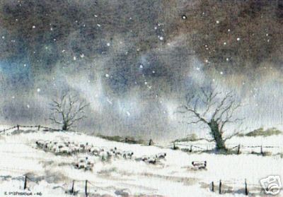 Sheep in Winter Northumberland1