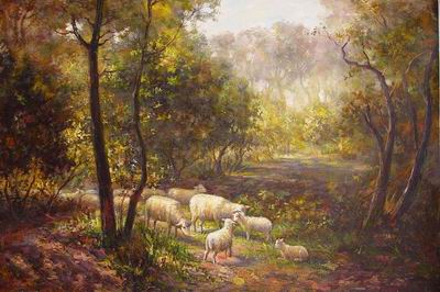 Sheep in Woods