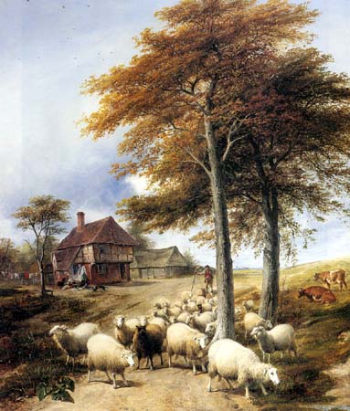 Sheep Jerseys Farmer