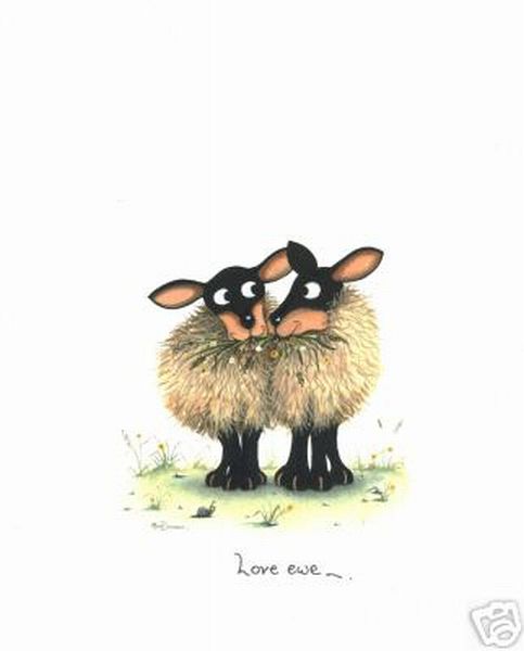 Sheep Love Ewe