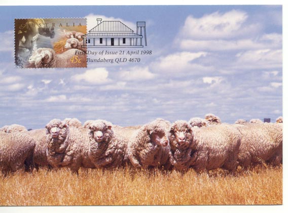 Sheep Maxi Card Australia