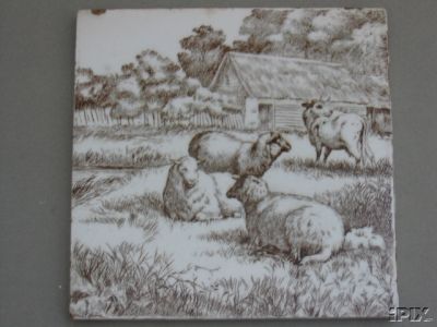 Sheep Mintontile