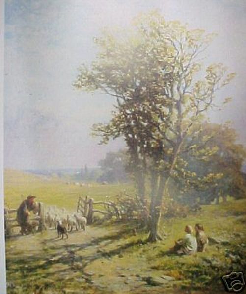 Sheep Moving Pasture