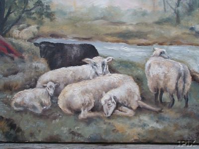 Sheep Nap Time2