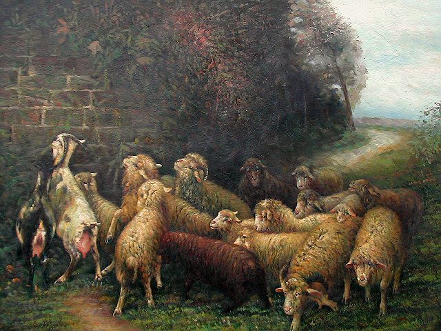 Sheep Near Wall