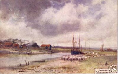 Sheep Near Walberswick Ferry 1910