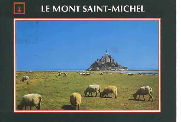 Sheep of Le Mont Saint Michael