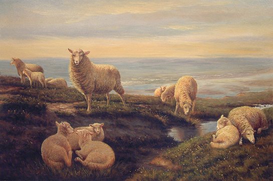 Sheep on a Coastal Hill