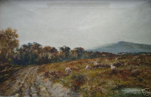 Sheep on a Dartmoor Landscape