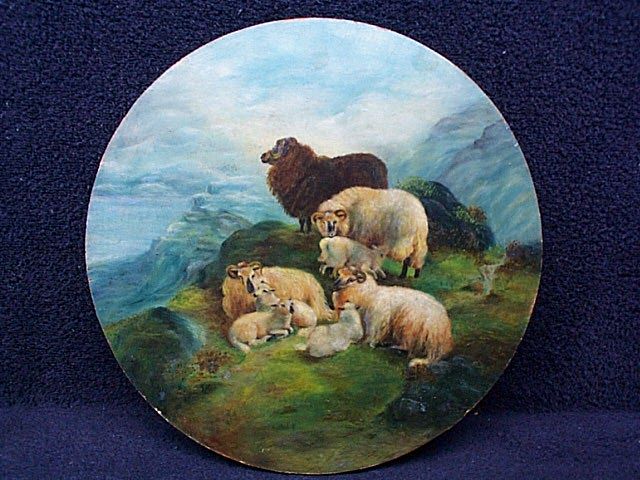 Sheep on a Plate