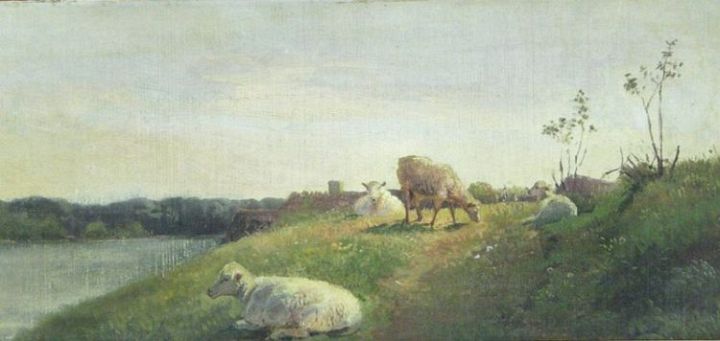 Sheep on a Sunny Evening