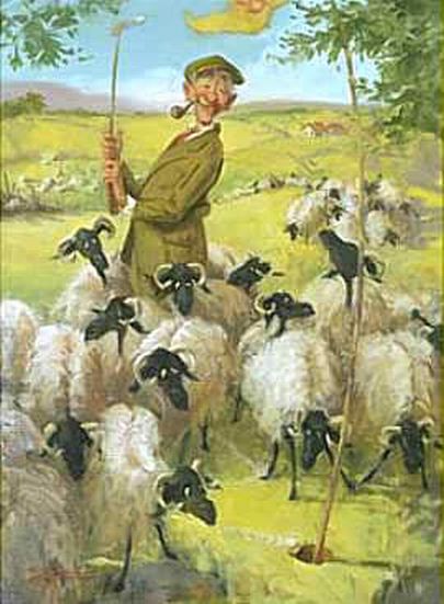 Sheep on Golfcoarse