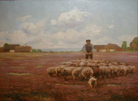 Sheep on Moor