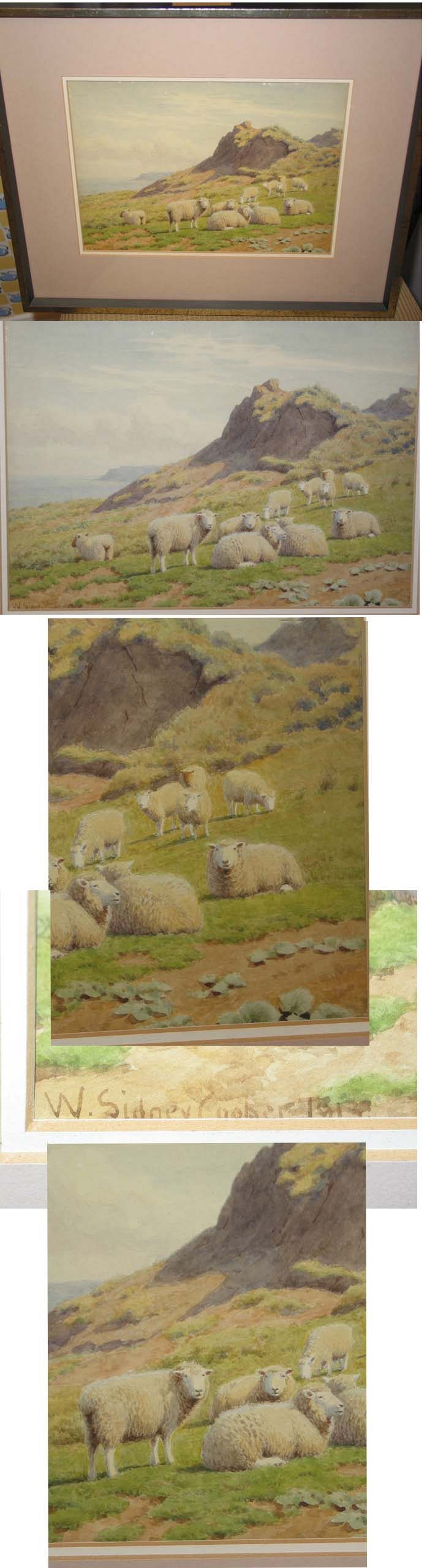 Sheep on the Coast