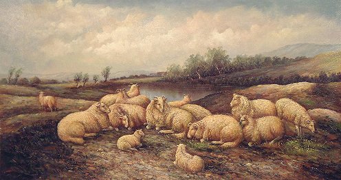 Sheep on the Moors