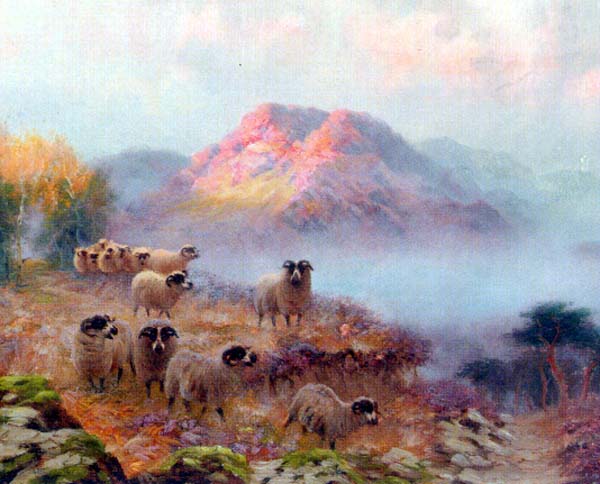 Sheep on the Mountain