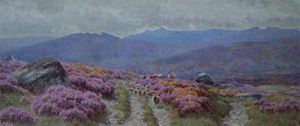 Sheep on the Path