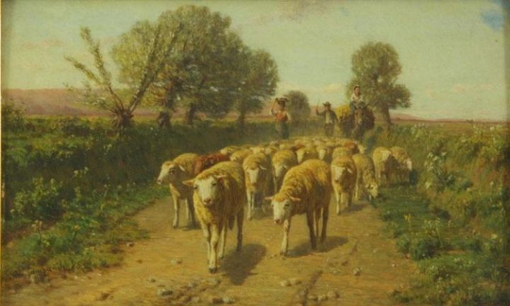 Sheep on the Road1